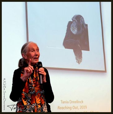 Dr. Jane Goodall at the auction
